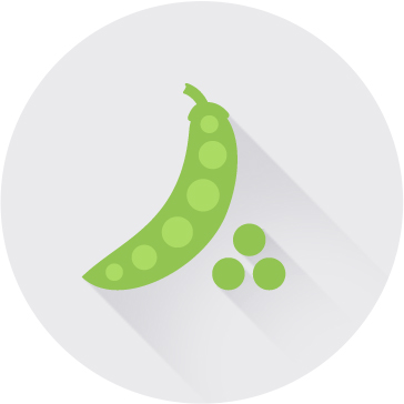 대두이소플라본