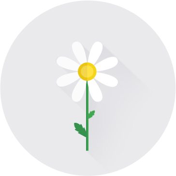 구절초추출분말