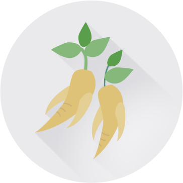 발효인삼농축액분말